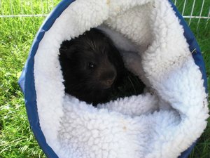 CIMG0333.jpg CIMG0333.jpg