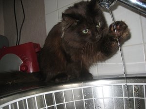 IMG_1751.JPG IMG_1751.JPG