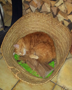 Suki_Holzkorb.jpg Suki_Holzkorb.jpg