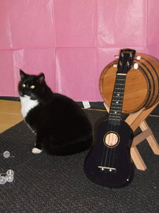 2-Glitterbox.jpg 2-Glitterbox.jpg