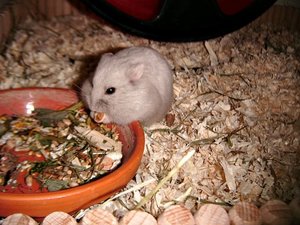 DSCF0058.jpg DSCF0058.jpg