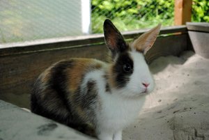 DSC_6536 - Kopie.JPG