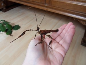 SDC13349.jpg SDC13349.jpg