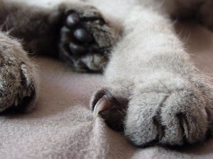 P1050177 klein.jpg P1050177 klein.jpg