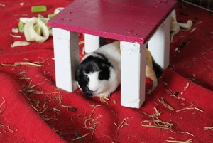 IMG_5245 (640x427).jpg IMG_5245 (640x427).jpg