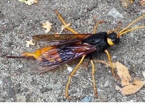 20130811_111703 (2).jpg