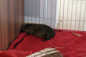 IMG_5250 (640x427).jpg IMG_5250 (640x427).jpg