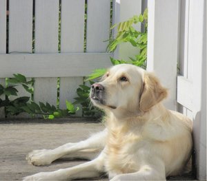 Jeanny_Balkon.JPG Jeanny_Balkon.JPG