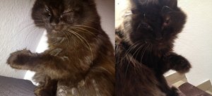 Foto (35).JPG Foto (35).JPG