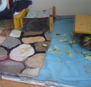 dsc00211.jpg dsc00211.jpg