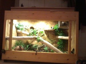 2013-08-14 18.17.17.jpg 2013-08-14 18.17.17.jpg