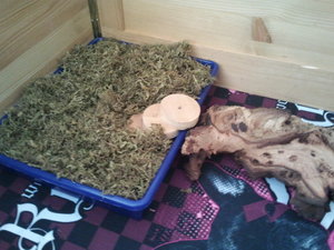 2013-08-19 09.18.35.jpg