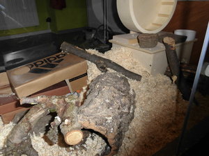 Hamster gehege 009.JPG