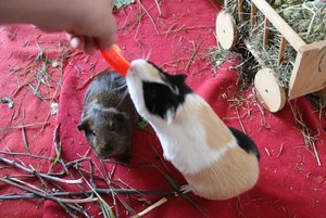 IMG_5944 (640x427).jpg