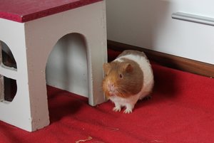 IMG_5599 (640x427).jpg