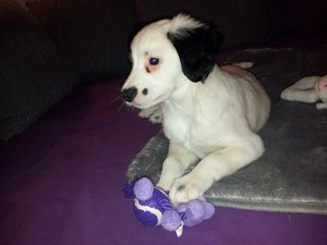 20130213_183249 (1).jpg