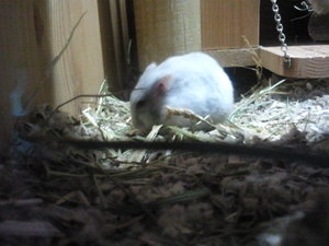 2013-08-21 17.54.21.jpg 2013-08-21 17.54.21.jpg