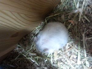 2013-08-21 17.54.46.jpg 2013-08-21 17.54.46.jpg