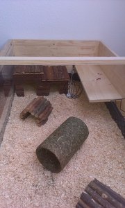 IMAG0121TF.jpg IMAG0121TF.jpg