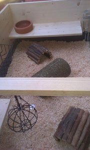 IMAG0122TF.jpg IMAG0122TF.jpg