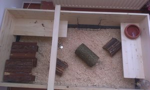 IMAG0123TF.jpg IMAG0123TF.jpg