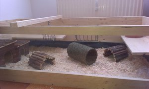 IMAG0124TF.jpg IMAG0124TF.jpg