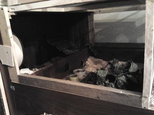 2013-08-22 22.42.48.jpg