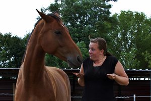 1085527_577832322257869_1950440126_n.jpg 1085527_577832322257869_1950440126_n.jpg