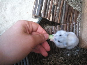 2013-08-24 13.21.06.jpg