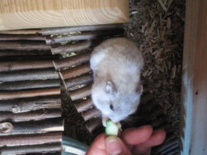 2013-08-24 13.21.50.jpg