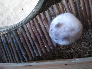 2013-08-24 13.24.06.jpg