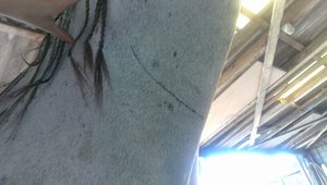 IMG-20130824-WA00081161895920.jpg IMG-20130824-WA00081161895920.jpg