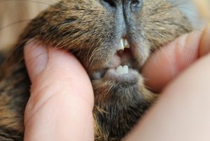 IMG_6160 (640x427).jpg