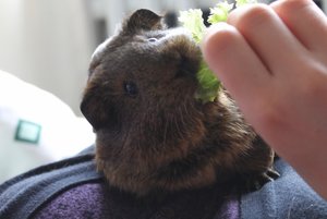 IMG_6192 (640x427).jpg