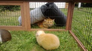 1173867_711852748841194_770885192_n.jpg 1173867_711852748841194_770885192_n.jpg