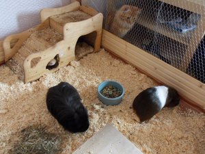 SDC13501.JPG SDC13501.JPG