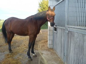 0476fbc4.m.jpg 0476fbc4.m.jpg