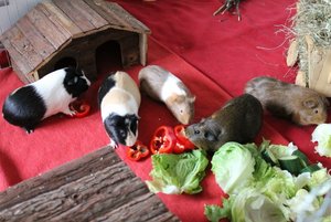 IMG_6405 (640x427).jpg