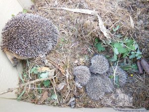 DSCN1725test.jpg DSCN1725test.jpg