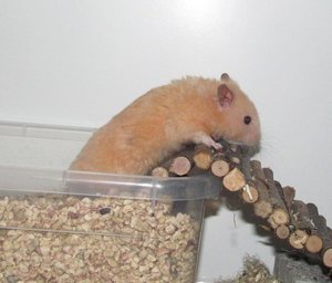 14465634kq.jpg 14465634kq.jpg