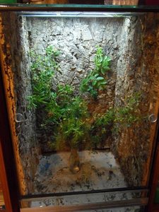 1001006_207206172770164_111321235_n.jpg 1001006_207206172770164_111321235_n.jpg