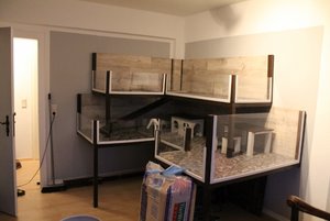 IMG_6484 (640x427).jpg