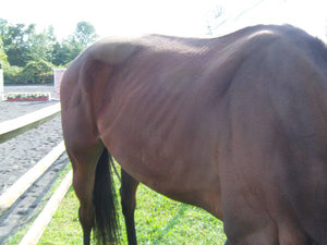 seite2.jpg seite2.jpg