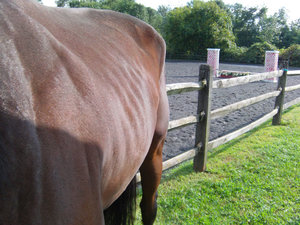 seite3.jpg seite3.jpg