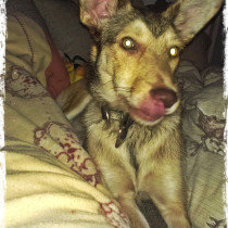 imagehgfdng.jpg imagehgfdng.jpg