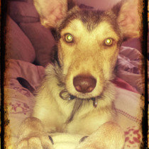 hgnnnnnn.jpg hgnnnnnn.jpg