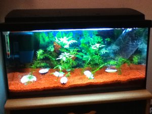 IMG_0015.JPG IMG_0015.JPG