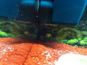 IMG_0016.JPG IMG_0016.JPG