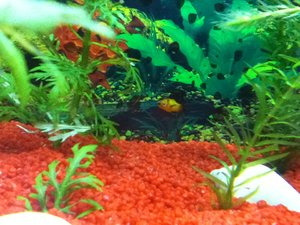 IMG_0018.JPG IMG_0018.JPG