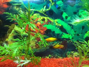 IMG_0019.JPG IMG_0019.JPG